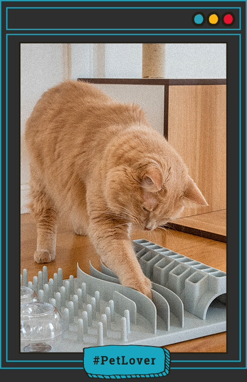 juegos que despiertan el instinto cazador del gato